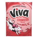Viva No Added Sugar Strawberry Milk (carton) - 27x200ml