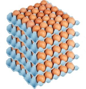 Ellis RSPCA Assured Free Range Medium Eggs - 15 dozen