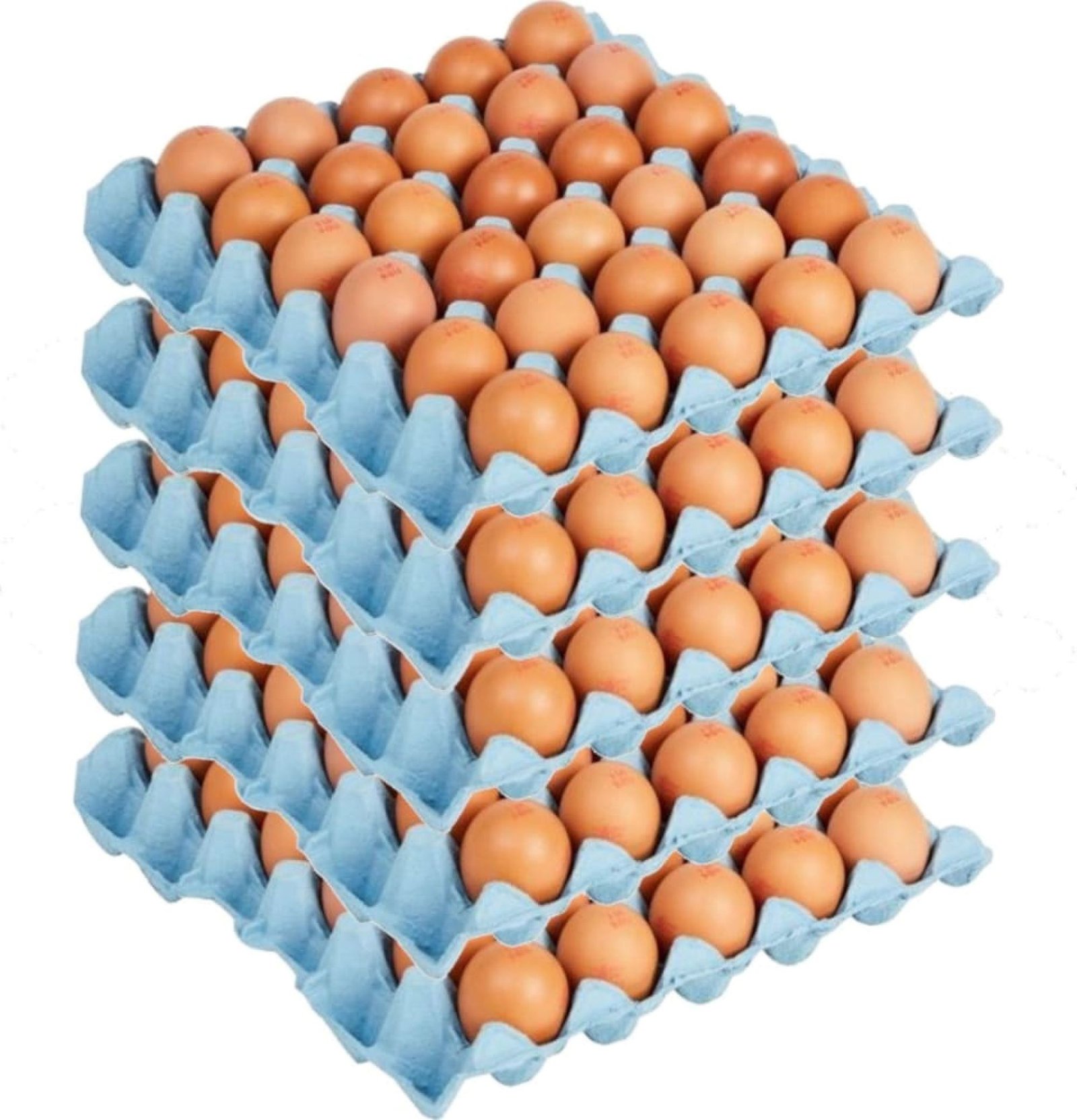 Ellis RSPCA Assured Free Range Medium Eggs - 15 dozen