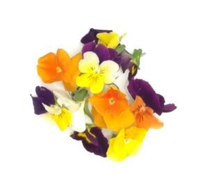 Edible Pansies - 8g