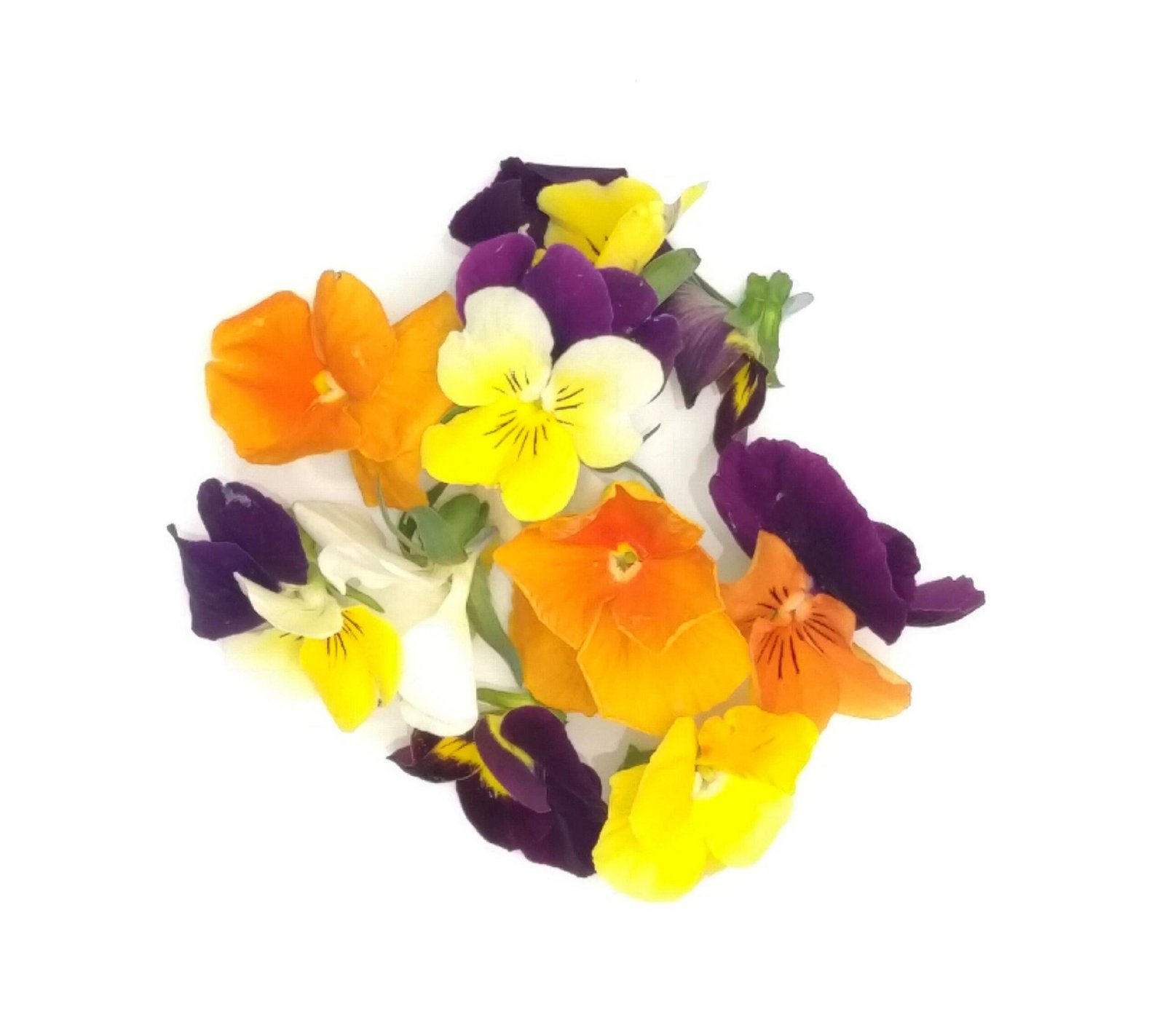 Edible Pansies - 8g
