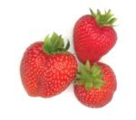 English Strawberries Tray - 20x400g