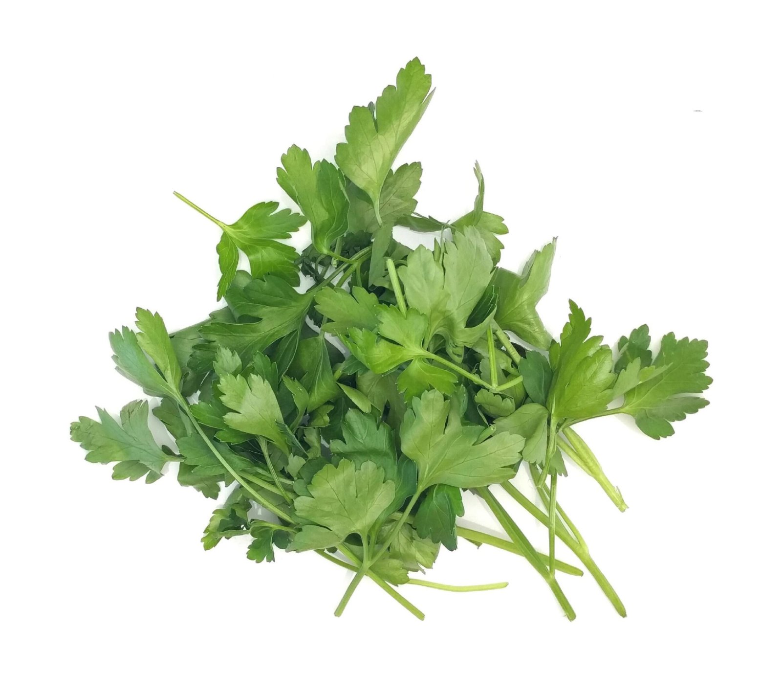 Fresh Flat Parsley - 100g