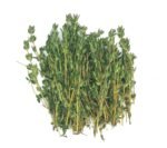 Fresh Thyme - 100g