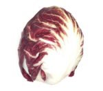 Radicchio Lettuce - 9x1ptn