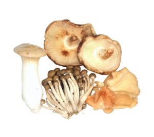 Mushroom Wild Exotic Mix - 2x500g