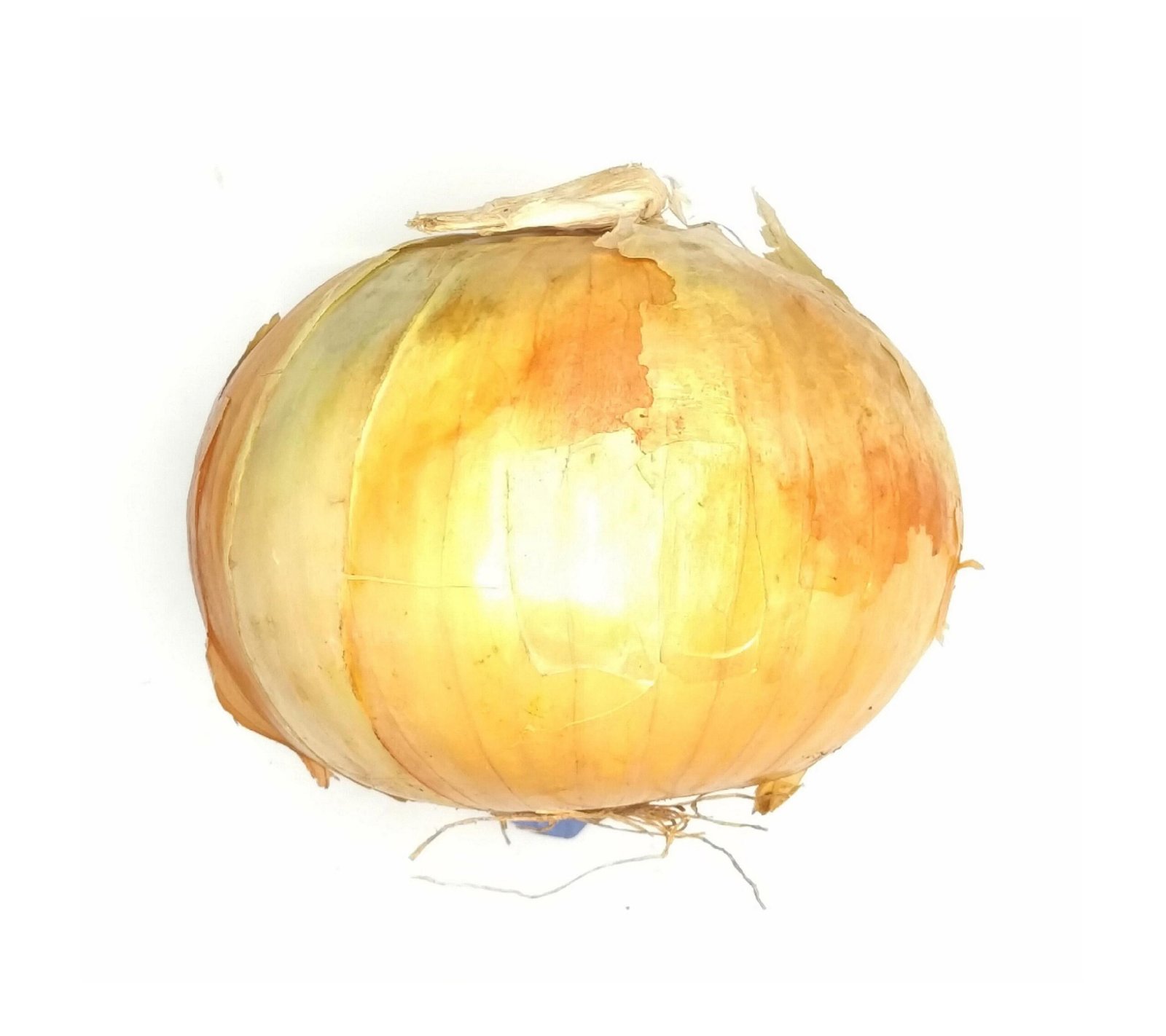Spanish Onions - Large