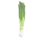 Spring Onions Bunch - approx. 140g