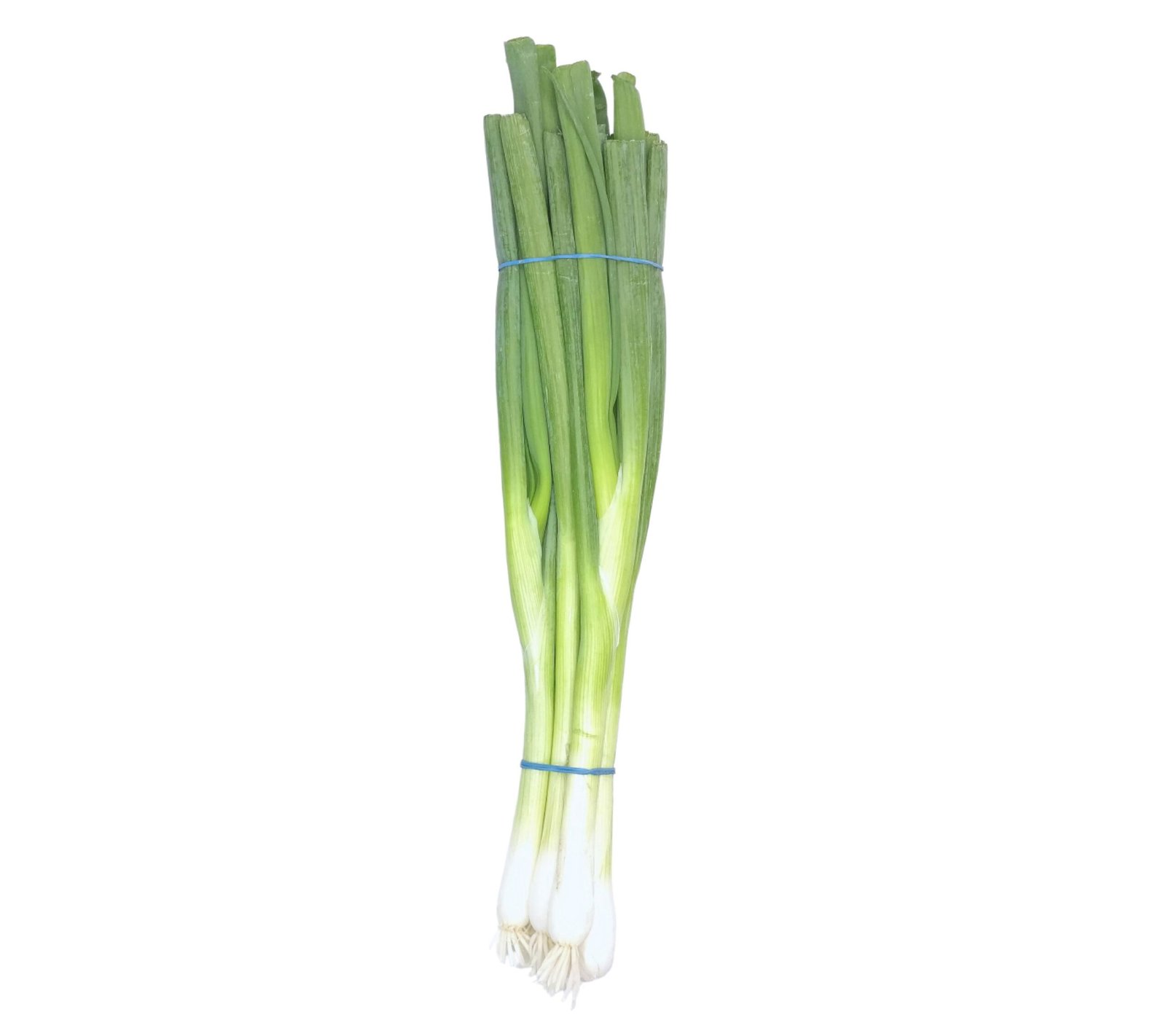 Spring Onions Bunch - approx. 140g