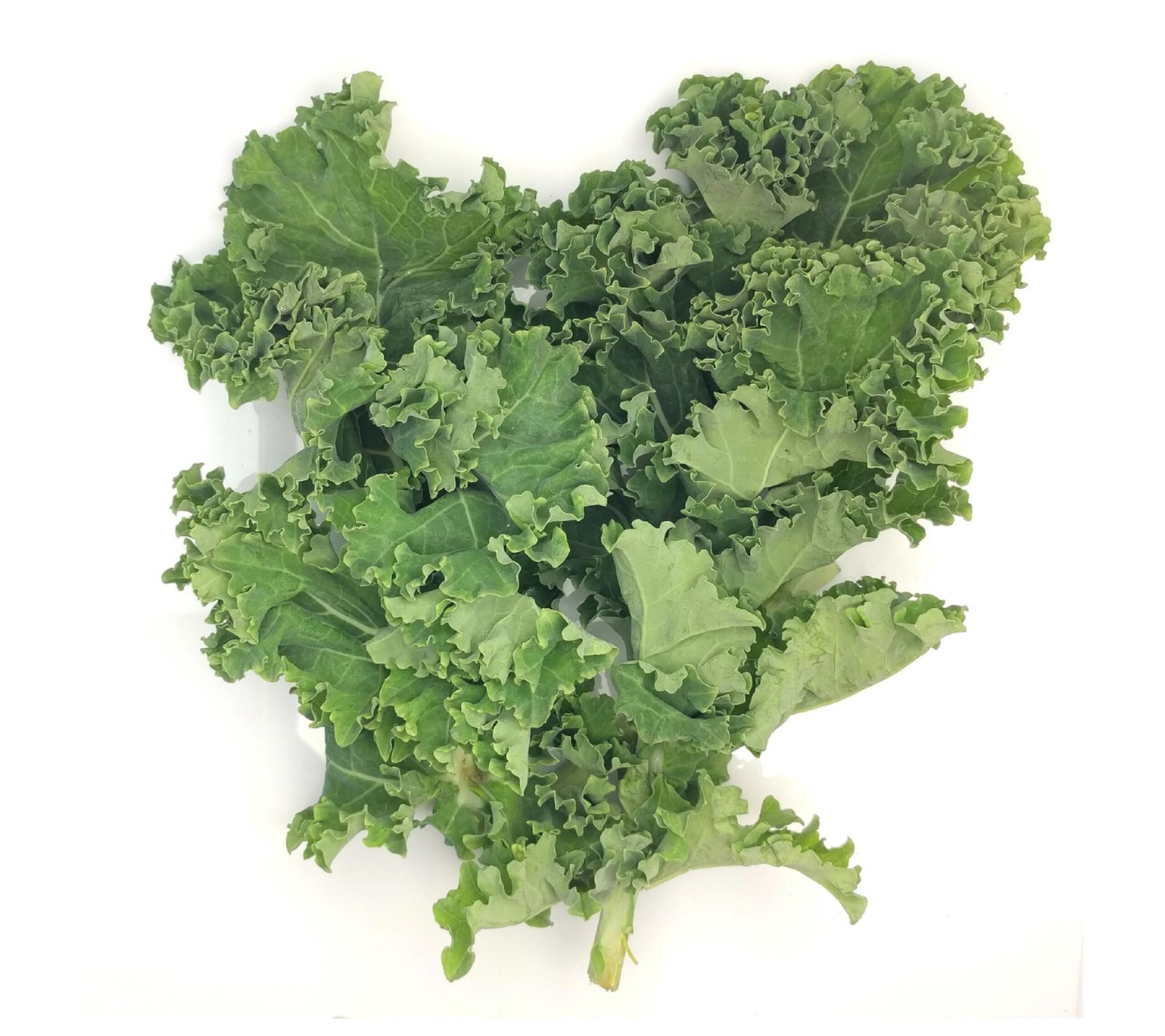 Green Curly Kale - 250g