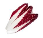 Chicory Red Carmine - 3kg