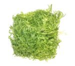 Endive Lettuce - each