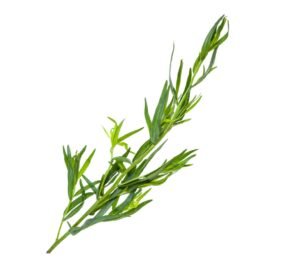 Fresh Tarragon - 100g