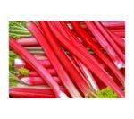 Rhubarb (Outdoor) (kg)