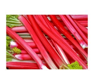 Rhubarb (Outdoor) (kg)