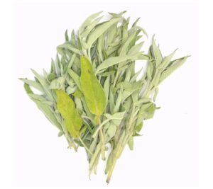 Fresh Sage - 30x100g