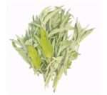 Fresh Sage - 100g