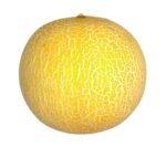 Galia Melon - each