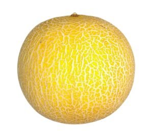 Galia Melon - each