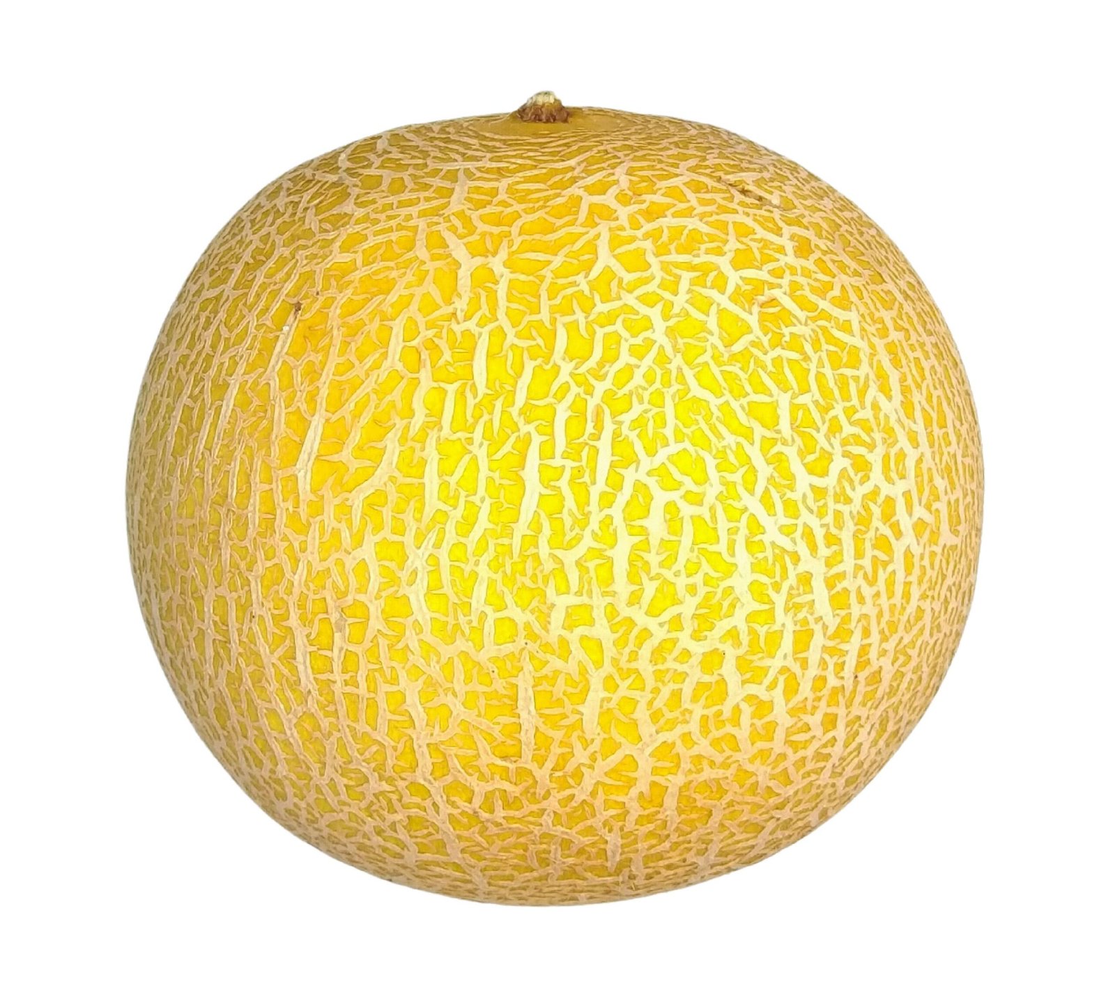 Galia Melon - each