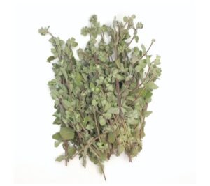 Fresh Oregano - 30x100g