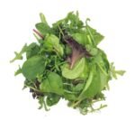Mixed Baby Leaf Salad - 10x250g