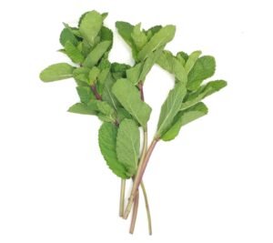 Fresh Mint - 100g