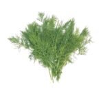 Fresh Dill - 100g