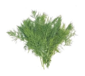 Fresh Dill - 100g