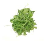 Fresh Coriander - 30x100g