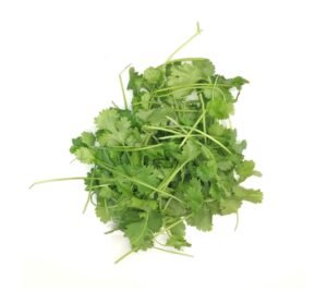 Fresh Coriander - 30x100g