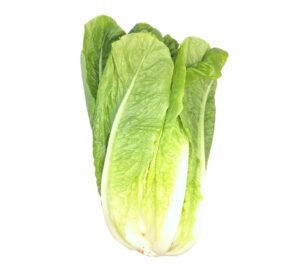 Cos / Romaine Lettuce (box) - 10