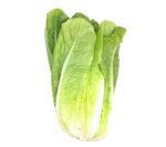 Cos / Romaine Lettuce (box)