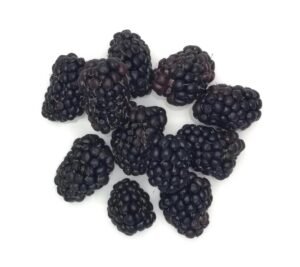 Blackberries - 12x125g