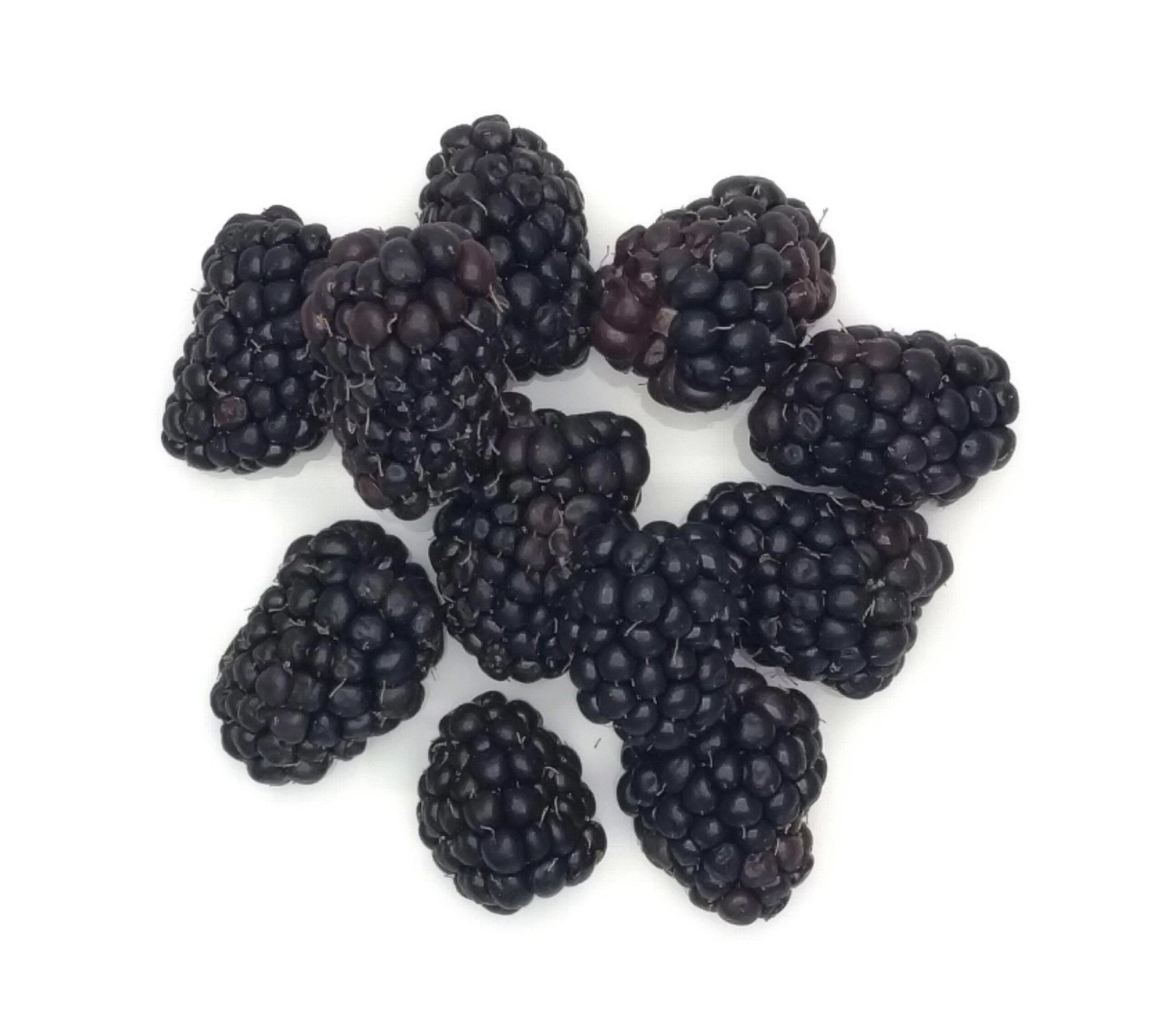 Blackberries - 12x125g