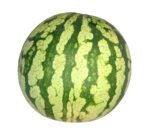 Watermelon Large - each