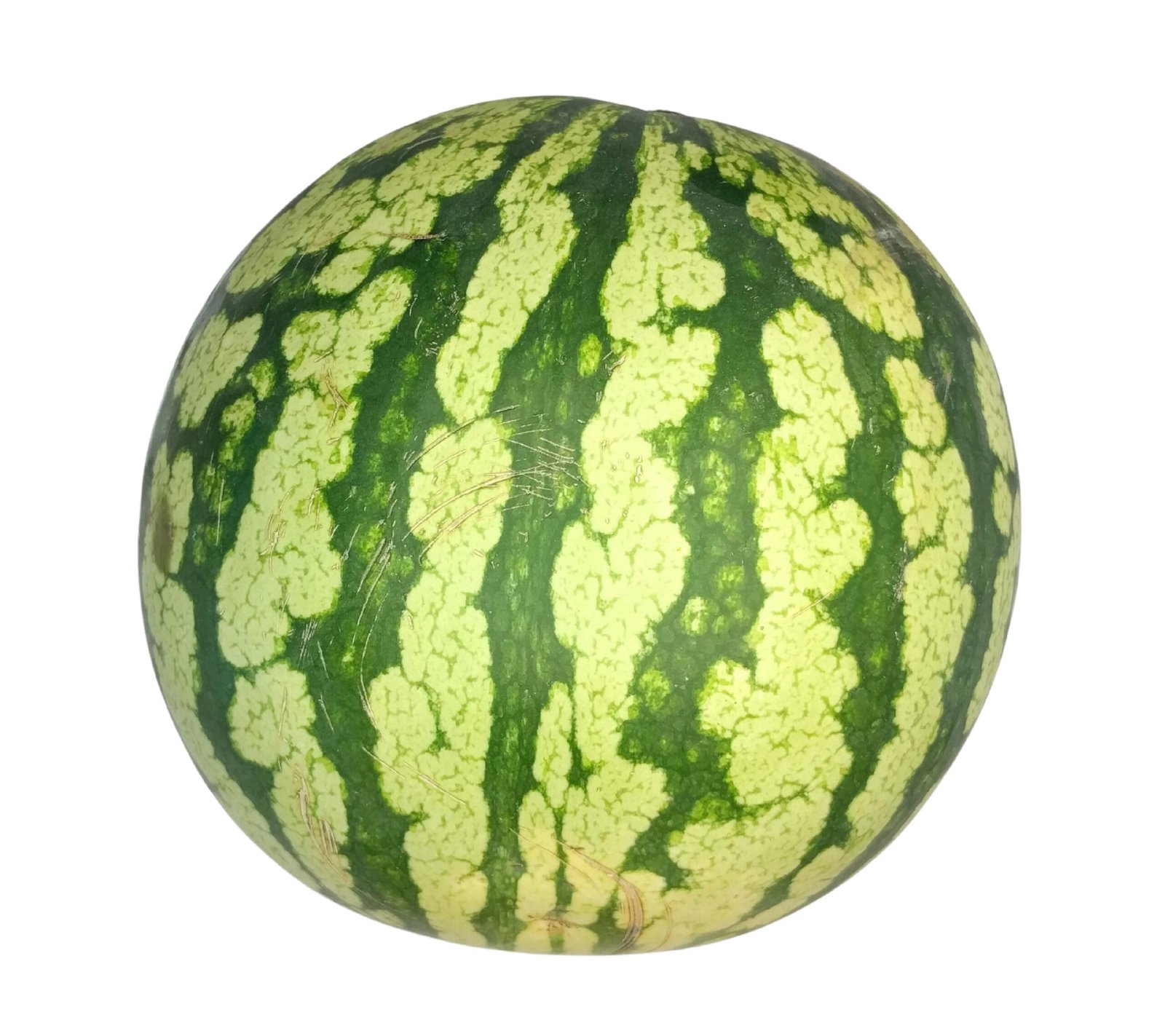 Watermelon Large - each