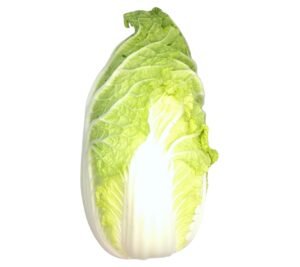 Fresh Chinese Leaf - each