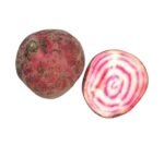 Chiogga Beetroot (candy stripe) - 1kg