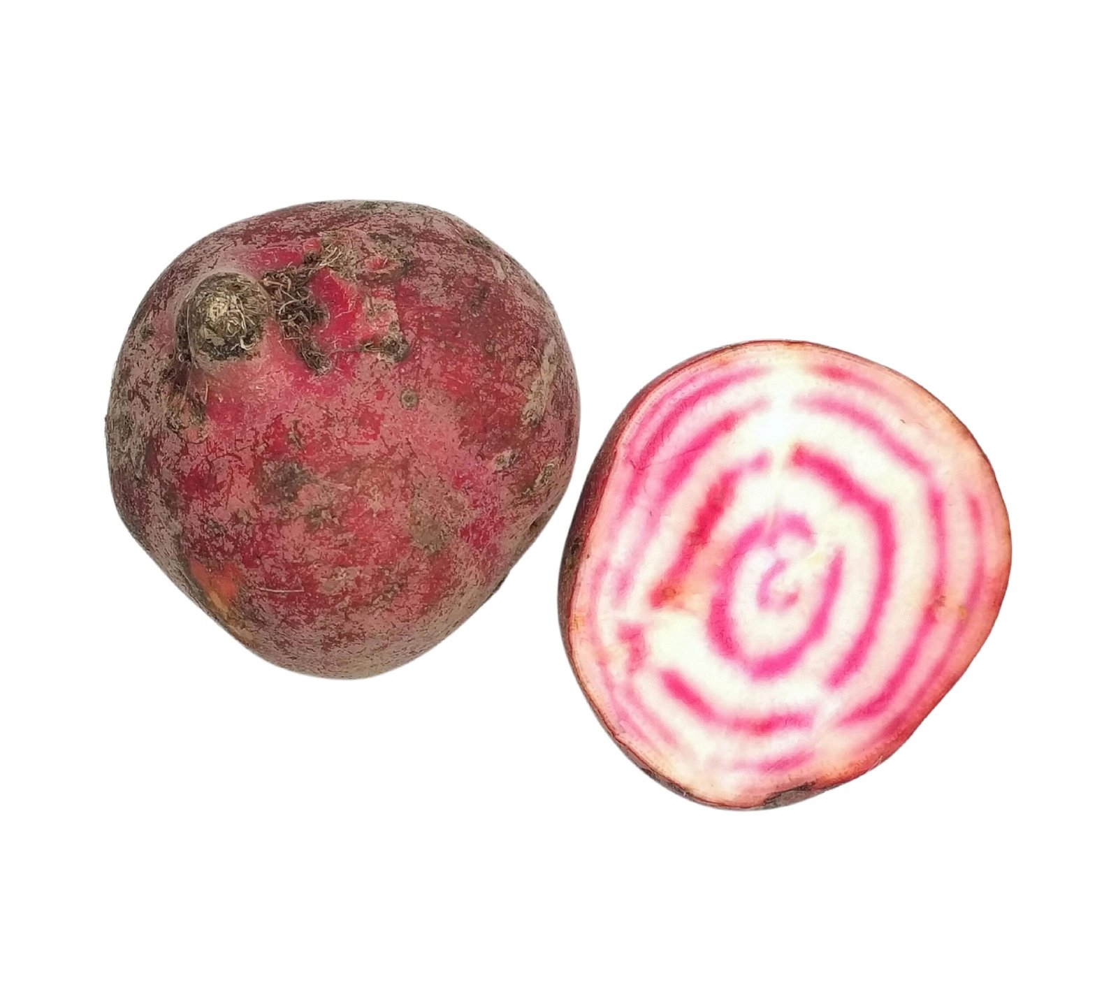 Chiogga Beetroot (candy stripe) - 1kg