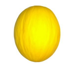 Honeydew Melon - each