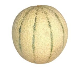 Cantaloupe Melon - each