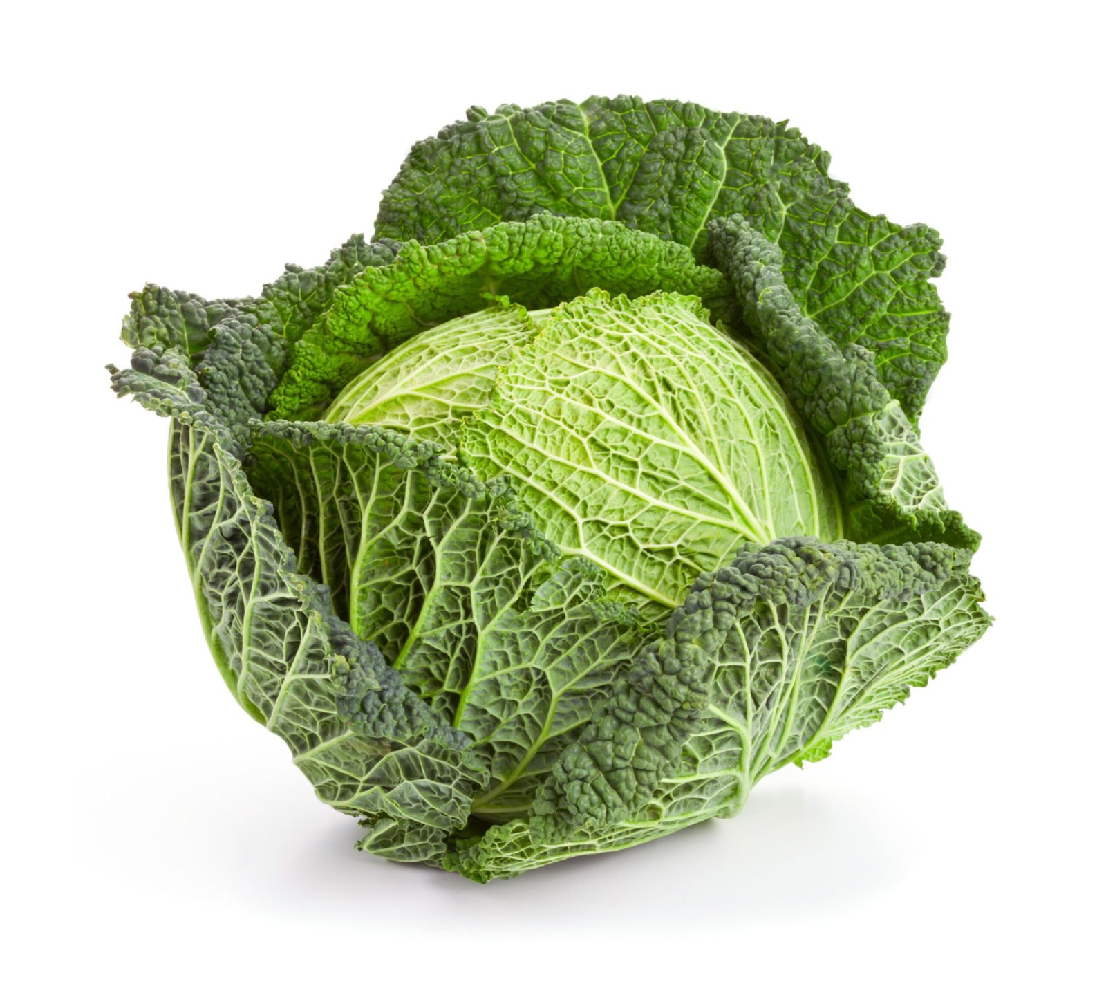 British Savoy Cabbage - 8x1