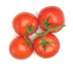 Tomato Vine  - Box