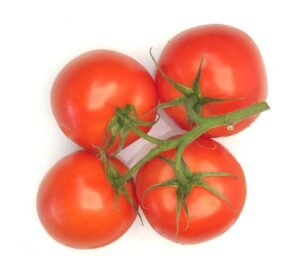 Tomato Vine  - Box