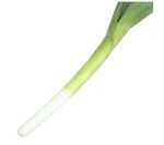Leek - Box