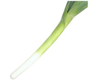Leek - Box