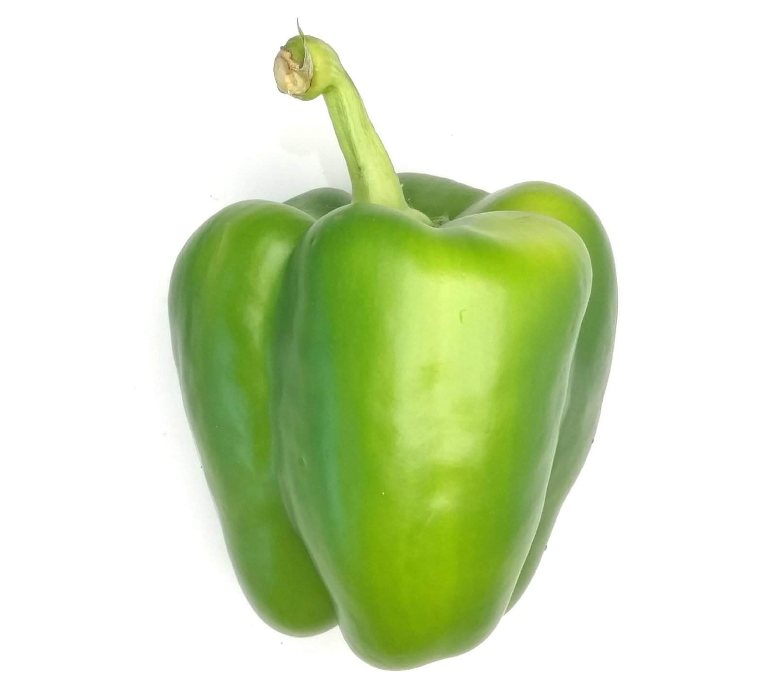 Green Peppers Box - 5kg