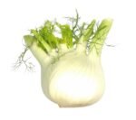 Fresh Fennel - each
