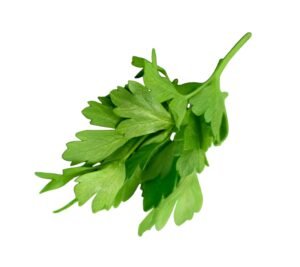 Micro Parsley
